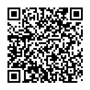 他们想明年一月一日的时候才放荣光去卡塔尔参加亚洲杯的比赛……二维码生成