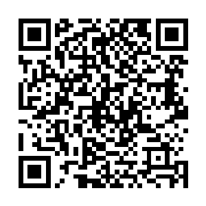 他们想要找到那祖巫残骸几乎就是一个不可能完成的任务了二维码生成