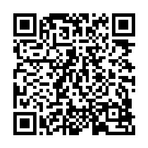 他们所在的宗门理念本就是管好自家一亩三分地二维码生成