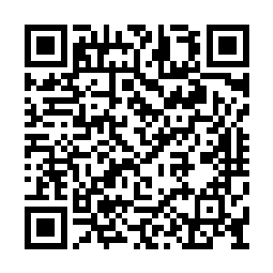 他们所看到的就是一条黑色的蛇不断的扭动变幻二维码生成