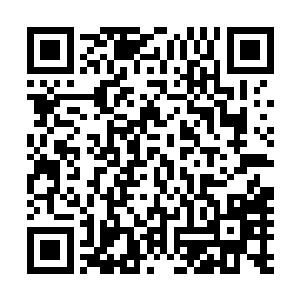 他们所能展现出来的实力对厉倾城来说就是灾难性的打击了二维码生成