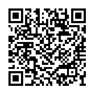 他们才不会留在凌武城和这些丧家之犬聊这么久二维码生成
