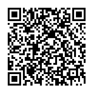 他们无论如何也没想到眼前的少年居然是个比他们修为还要强上不少的天级武者二维码生成