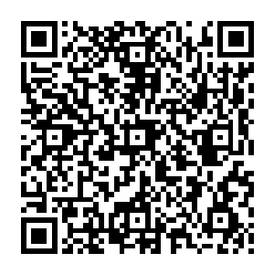 他们早已确定了自己只是被带入了以姜阳勋仙府为蓝本的一段岁月的时间长河旁边二维码生成