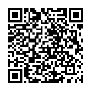 他们早已经习惯了王妃不时的消失去办一些重要的事情二维码生成