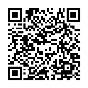 他们星家现在已经没有那么大的影响力和威慑力了二维码生成