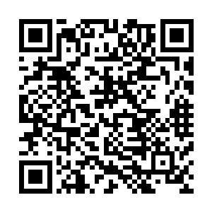 他们是不会进入到其他宗门的而他们两家也和我们许家一样二维码生成