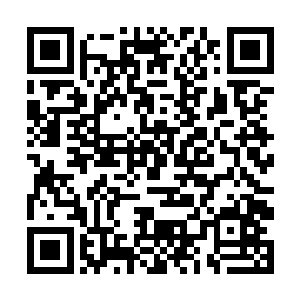 他们是打定了主意驱使这些低阶混沌兽消耗仙界修士二维码生成