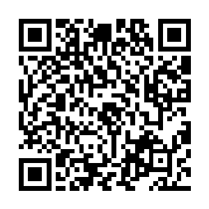 他们是现在驻守集结在象山城中武州军的两个军团的军团长二维码生成