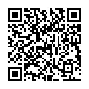 他们曾经对雷欢喜无比的信心正在悄悄发生着动摇……二维码生成