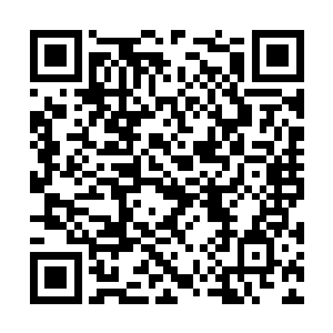 他们最美丽的女子匍匐在我们的脚下抛着媚眼……二维码生成