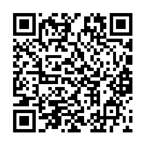 他们正排着队将他们手中的信封投进我们的公正箱里面二维码生成