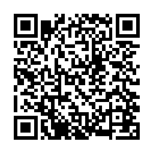 他们此刻仍然还是将楚旬当成了第一优先的击杀目标二维码生成