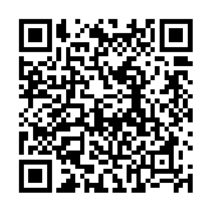 他们每一个都从不赞同开始心甘情愿的跟在林烽的身边二维码生成