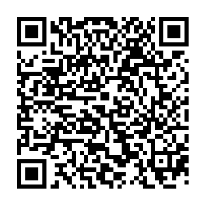 他们每一位都已经做好要在这种不见天日的冰冷地方过完一辈子的心理准备了二维码生成