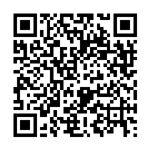 他们每个人对她的估计是――撑死了高级分神而已二维码生成