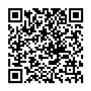 他们每时每刻都要对不同的场景不同的情况进行模拟二维码生成
