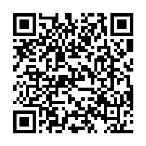 他们没想到居然有人敢用这种口气跟传说中的夏天说话二维码生成