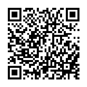 他们没想到杀人不眨眼的沈笑薇竟会哭得像个孩子似的二维码生成