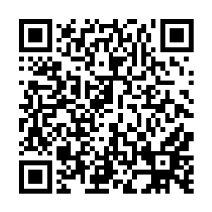 他们没想到杨开居然这么大咧咧地就冲进领域漩涡中了二维码生成