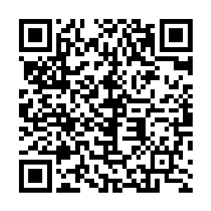 他们没有想到会从许紫烟的口中听到一元丹和灵液的名字二维码生成