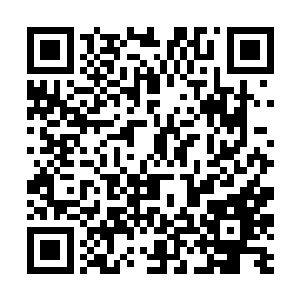 他们潜意识里机没有把这位少主列为重点保护对xiàng二维码生成