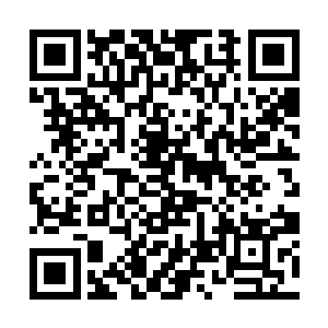 他们现在十分的明白想要活下去肯定是十分的奢望了二维码生成