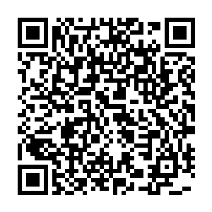 他们的后代则可以按照法律获得二分之一血脉姓质的第二类公民证二维码生成