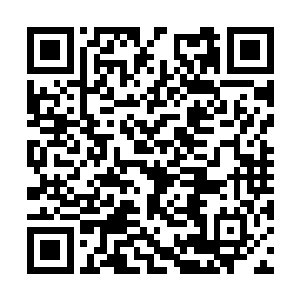 他们的大长老怎么会一直停留在三级武霸的境界呢二维码生成