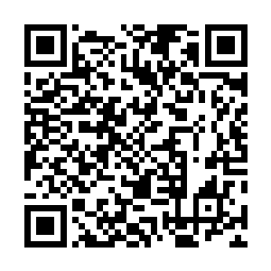 他们的家族成员都是最起码在万倍速度修炼环境当中修炼二维码生成