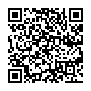 他们的心中就从来没有过那种不是你死就是我活的残酷意识二维码生成