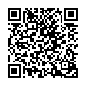 他们的注意力又被坐在凌蘭右侧沙发上的顾东阳吸引了过去二维码生成