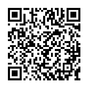 他们的目的不正是想利用梓箐将白眉留在王庄么二维码生成