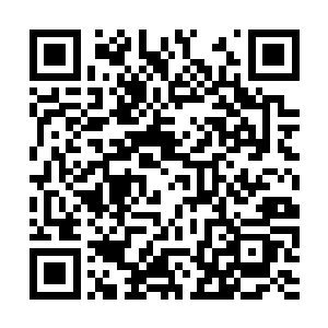 他们的表现并没有吓退生性奔放彪悍的桑巴国人民二维码生成
