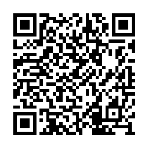 他们的记忆和情绪交杂起来就会形成微弱的意识二维码生成