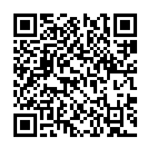 他们的那个无良师父显然不在意这两个弟子的反应二维码生成