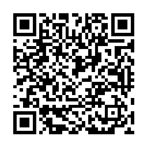 他们的长辈和师长也会跟他们讲述曾经有关秦国师的故事二维码生成