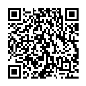 他们目不转睛地看着那一队正不断拨弄着树枝的敢死队员二维码生成