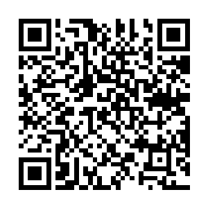 他们目前唯一做的有效措施就是把无角人全部驱赶出城二维码生成