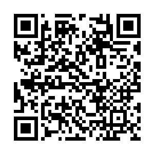 他们看洪涛和尤里娅的表情都是那种想笑但不敢笑二维码生成