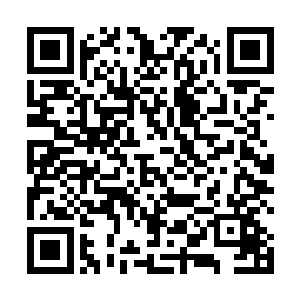 他们真没想到金在珉会如此堂而皇之的把青椒据为己有二维码生成