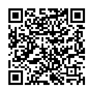 他们确实不如化仙之地和化外之地那么好斗和激进二维码生成