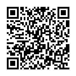 他们竟又觉得完全提不起力气打破这一刻的安宁二维码生成