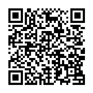 他们竟然还提出要返回去挖几块地阶魔神之骨的荒唐建议二维码生成