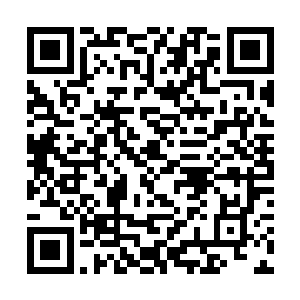 他们组成了一个小队一边抵挡着其它黑色生物的攻击二维码生成