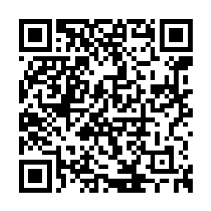 他们肯定不会把海洋生物基因研究基地建在表面二维码生成