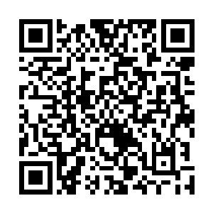 他们能通过嗅闻兽皮而推测出这块兽皮出自兽身上的哪处二维码生成