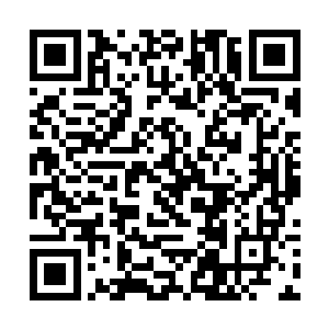 他们自然不会再这么傻傻的任由萧易等到救兵的到来二维码生成