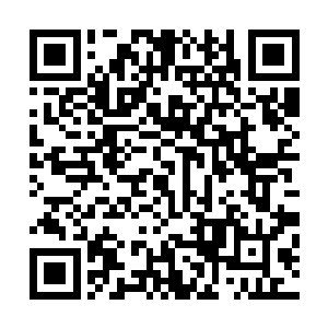 他们表情上细微的变化都吸引了观众们的注意和热烈的讨论二维码生成