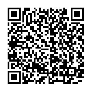 他们被送回去是做那个什么医疗部部长新药剂的试验……妖风众人就算再笨二维码生成